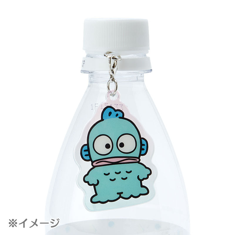 Sanrio "Mejirushi Charm" blind box B