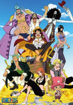 One Piece 3D poster